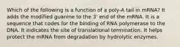 Which of the following is a function of a poly-A tail in mRNA? It adds the modified guanine to the 3' end of the mRNA. It is a sequence that codes for the binding of RNA polymerase to the DNA. It indicates the site of translational termination. It helps protect the mRNA from degradation by hydrolytic enzymes.