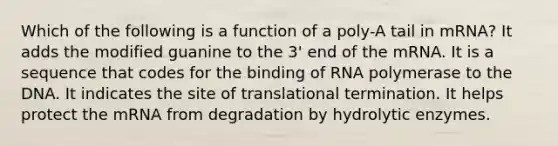 Which of the following is a function of a poly-A tail in mRNA? It adds the modified guanine to the 3' end of the mRNA. It is a sequence that codes for the binding of RNA polymerase to the DNA. It indicates the site of translational termination. It helps protect the mRNA from degradation by hydrolytic enzymes.