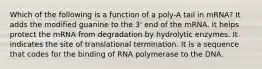 Which of the following is a function of a poly-A tail in mRNA? It adds the modified guanine to the 3' end of the mRNA. It helps protect the mRNA from degradation by hydrolytic enzymes. It indicates the site of translational termination. It is a sequence that codes for the binding of RNA polymerase to the DNA.