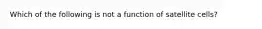 Which of the following is not a function of satellite cells?