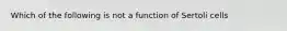 Which of the following is not a function of Sertoli cells