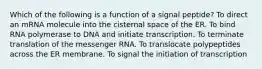 Which of the following is a function of a signal peptide? To direct an mRNA molecule into the cisternal space of the ER. To bind RNA polymerase to DNA and initiate transcription. To terminate translation of the messenger RNA. To translocate polypeptides across the ER membrane. To signal the initiation of transcription