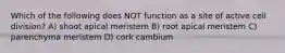 Which of the following does NOT function as a site of active cell division? A) shoot apical meristem B) root apical meristem C) parenchyma meristem D) cork cambium