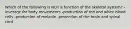 Which of the following is NOT a function of the skeletal system? -leverage for body movements -production of red and white blood cells -production of melanin -protection of the brain and spinal cord