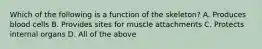 Which of the following is a function of the skeleton? A. Produces blood cells B. Provides sites for muscle attachments C. Protects internal organs D. All of the above