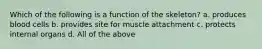 Which of the following is a function of the skeleton? a. produces blood cells b. provides site for muscle attachment c. protects internal organs d. All of the above