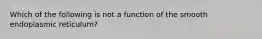 Which of the following is not a function of the smooth endoplasmic reticulum?