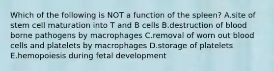 Which of the following is NOT a function of the spleen? A.site of stem cell maturation into T and B cells B.destruction of blood borne pathogens by macrophages C.removal of worn out blood cells and platelets by macrophages D.storage of platelets E.hemopoiesis during fetal development