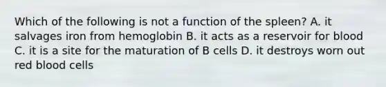 Which of the following is not a function of the spleen? A. it salvages iron from hemoglobin B. it acts as a reservoir for blood C. it is a site for the maturation of B cells D. it destroys worn out red blood cells