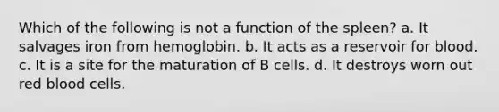 Which of the following is not a function of the spleen? a. It salvages iron from hemoglobin. b. It acts as a reservoir for blood. c. It is a site for the maturation of B cells. d. It destroys worn out red blood cells.