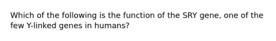 Which of the following is the function of the SRY gene, one of the few Y-linked genes in humans?