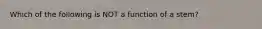 Which of the following is NOT a function of a stem?