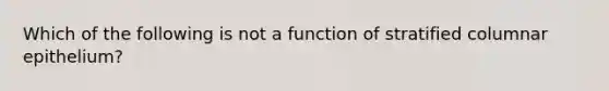 Which of the following is not a function of stratified columnar epithelium?