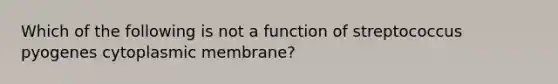 Which of the following is not a function of streptococcus pyogenes cytoplasmic membrane?