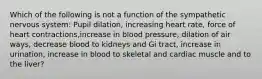 Which of the following is not a function of the sympathetic nervous system: Pupil dilation, increasing heart rate, force of heart contractions,increase in blood pressure, dilation of air ways, decrease blood to kidneys and Gi tract, increase in urination, increase in blood to skeletal and cardiac muscle and to the liver?