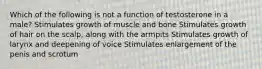 Which of the following is not a function of testosterone in a male? Stimulates growth of muscle and bone Stimulates growth of hair on the scalp, along with the armpits Stimulates growth of larynx and deepening of voice Stimulates enlargement of the penis and scrotum