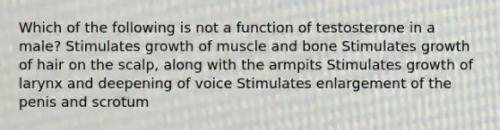 Which of the following is not a function of testosterone in a male? Stimulates growth of muscle and bone Stimulates growth of hair on the scalp, along with the armpits Stimulates growth of larynx and deepening of voice Stimulates enlargement of the penis and scrotum