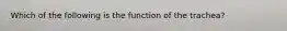 Which of the following is the function of the trachea?