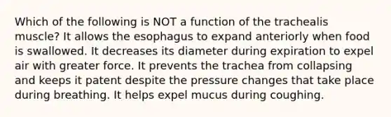 Which of the following is NOT a function of the trachealis muscle? It allows the esophagus to expand anteriorly when food is swallowed. It decreases its diameter during expiration to expel air with greater force. It prevents the trachea from collapsing and keeps it patent despite the pressure changes that take place during breathing. It helps expel mucus during coughing.