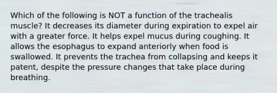 Which of the following is NOT a function of the trachealis muscle? It decreases its diameter during expiration to expel air with a greater force. It helps expel mucus during coughing. It allows the esophagus to expand anteriorly when food is swallowed. It prevents the trachea from collapsing and keeps it patent, despite the pressure changes that take place during breathing.