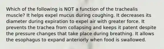 Which of the following is NOT a function of the trachealis muscle? It helps expel mucus during coughing. It decreases its diameter during expiration to expel air with greater force. It prevents the trachea from collapsing and keeps it patent despite the pressure changes that take place during breathing. It allows the esophagus to expand anteriorly when food is swallowed.