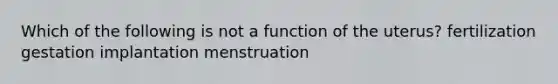 Which of the following is not a function of the uterus? fertilization gestation implantation menstruation