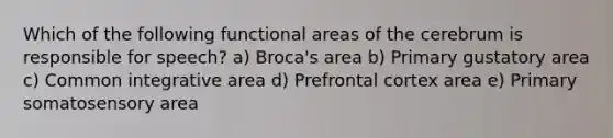 Which of the following functional areas of the cerebrum is responsible for speech? a) Broca's area b) Primary gustatory area c) Common integrative area d) Prefrontal cortex area e) Primary somatosensory area