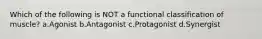 Which of the following is NOT a functional classification of muscle? a.Agonist b.Antagonist c.Protagonist d.Synergist