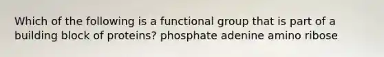 Which of the following is a functional group that is part of a building block of proteins? phosphate adenine amino ribose