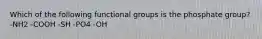 Which of the following functional groups is the phosphate group? -NH2 -COOH -SH -PO4 -OH