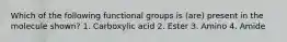 Which of the following functional groups is (are) present in the molecule shown? 1. Carboxylic acid 2. Ester 3. Amino 4. Amide