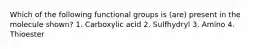 Which of the following functional groups is (are) present in the molecule shown? 1. Carboxylic acid 2. Sulfhydryl 3. Amino 4. Thioester