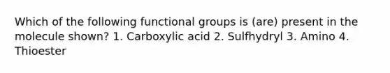 Which of the following functional groups is (are) present in the molecule shown? 1. Carboxylic acid 2. Sulfhydryl 3. Amino 4. Thioester