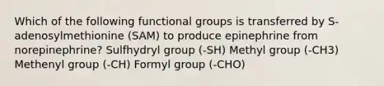 Which of the following functional groups is transferred by S-adenosylmethionine (SAM) to produce epinephrine from norepinephrine? Sulfhydryl group (-SH) Methyl group (-CH3) Methenyl group (-CH) Formyl group (-CHO)