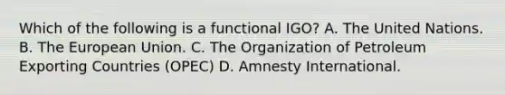 Which of the following is a functional IGO? A. The United Nations. B. <a href='https://www.questionai.com/knowledge/ky9y1VRXN8-the-eu' class='anchor-knowledge'>the eu</a>ropean Union. C. The Organization of Petroleum Exporting Countries (OPEC) D. Amnesty International.