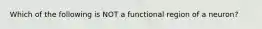 Which of the following is NOT a functional region of a neuron?