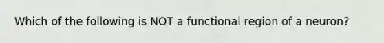 Which of the following is NOT a functional region of a neuron?