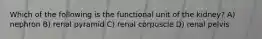 Which of the following is the functional unit of the kidney? A) nephron B) renal pyramid C) renal corpuscle D) renal pelvis