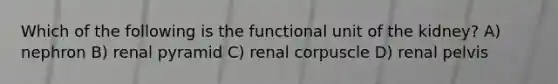 Which of the following is the functional unit of the kidney? A) nephron B) renal pyramid C) renal corpuscle D) renal pelvis