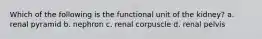 Which of the following is the functional unit of the kidney? a. renal pyramid b. nephron c. renal corpuscle d. renal pelvis