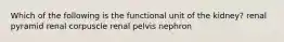 Which of the following is the functional unit of the kidney? renal pyramid renal corpuscle renal pelvis nephron