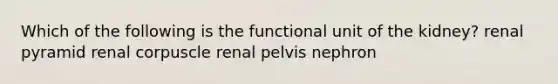 Which of the following is the functional unit of the kidney? renal pyramid renal corpuscle renal pelvis nephron