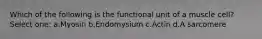 Which of the following is the functional unit of a muscle cell? Select one: a.Myosin b.Endomysium c.Actin d.A sarcomere