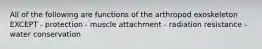 All of the following are functions of the arthropod exoskeleton EXCEPT - protection - muscle attachment - radiation resistance - water conservation