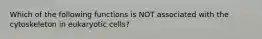 Which of the following functions is NOT associated with the cytoskeleton in eukaryotic cells?