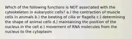 Which of the following functions is NOT associated with the cytoskeleton in eukaryotic cells? a.) the contraction of muscle cells in animals b.) the beating of cilia or flagella c.) determining the shape of animal cells d.) maintaining the position of the nucleus in the cell e.) movement of RNA molecules from the nucleus to the cytoplasm