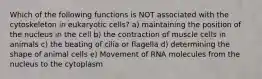 Which of the following functions is NOT associated with the cytoskeleton in eukaryotic cells? a) maintaining the position of the nucleus in the cell b) the contraction of muscle cells in animals c) the beating of cilia or flagella d) determining the shape of animal cells e) Movement of RNA molecules from the nucleus to the cytoplasm