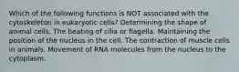 Which of the following functions is NOT associated with the cytoskeleton in eukaryotic cells? Determining the shape of animal cells. The beating of cilia or flagella. Maintaining the position of the nucleus in the cell. The contraction of muscle cells in animals. Movement of RNA molecules from the nucleus to the cytoplasm.