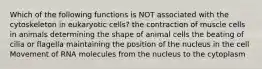 Which of the following functions is NOT associated with the cytoskeleton in eukaryotic cells? the contraction of muscle cells in animals determining the shape of animal cells the beating of cilia or flagella maintaining the position of the nucleus in the cell Movement of RNA molecules from the nucleus to the cytoplasm