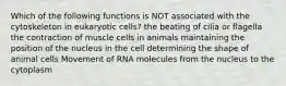 Which of the following functions is NOT associated with the cytoskeleton in eukaryotic cells? the beating of cilia or flagella the contraction of muscle cells in animals maintaining the position of the nucleus in the cell determining the shape of animal cells Movement of RNA molecules from the nucleus to the cytoplasm